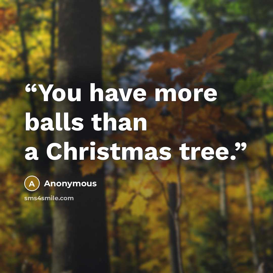 “You have more balls than a Christmas tree.” quote by Anonymous