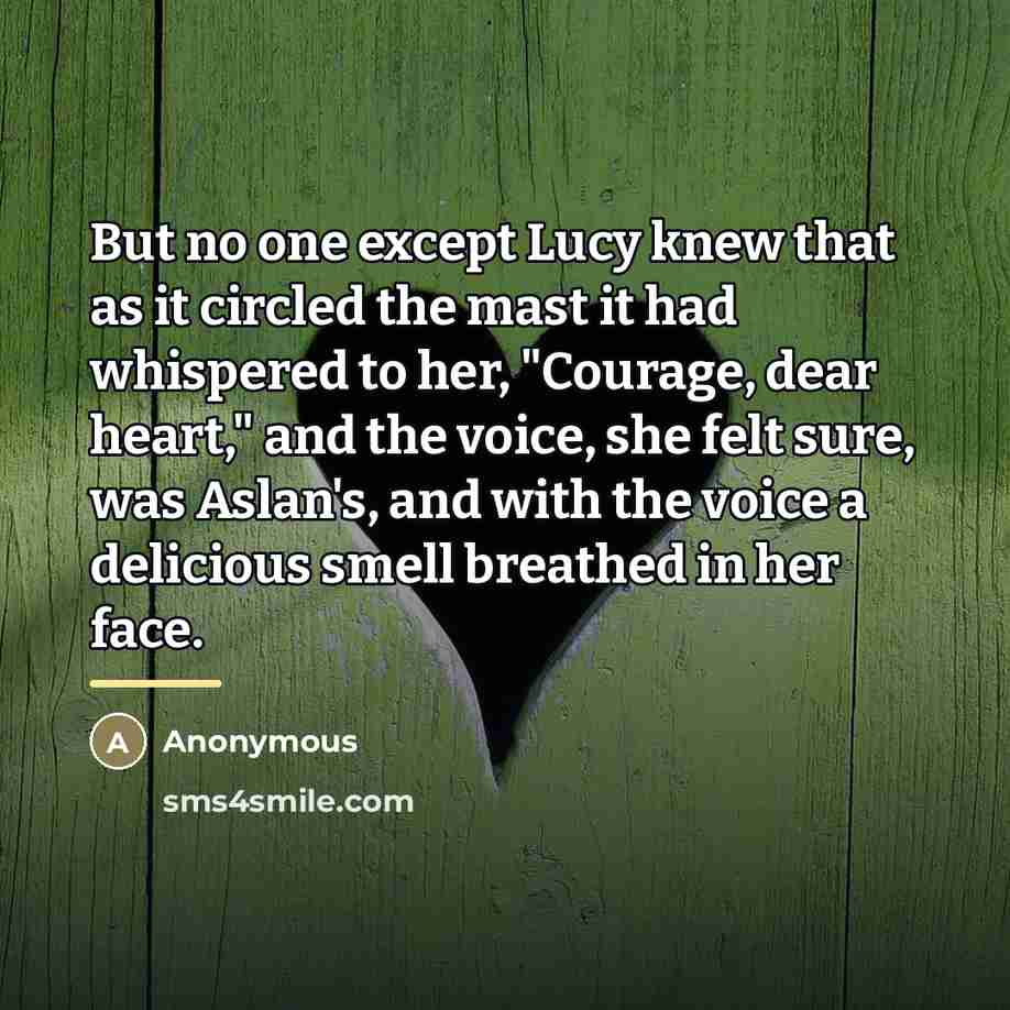 “But no one except Lucy knew that as it circled…” quote by Anonymous