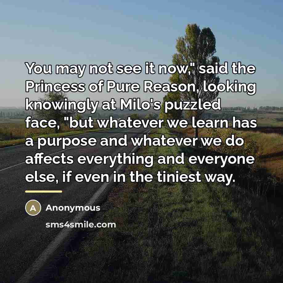“You may not see it now," said the Princess of…” quote by Anonymous