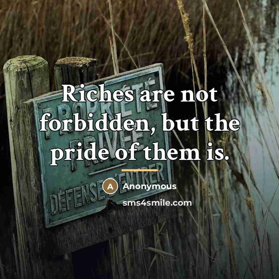 “Riches are not forbidden, but the pride of them is.…” quote by Anonymous