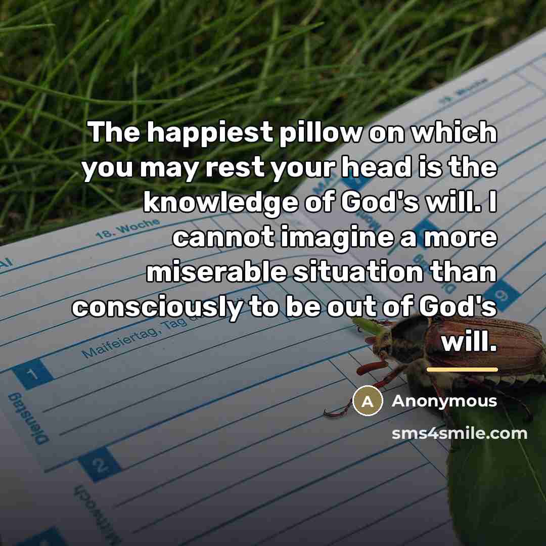 “The happiest pillow on which you may rest your head…” quote by Anonymous