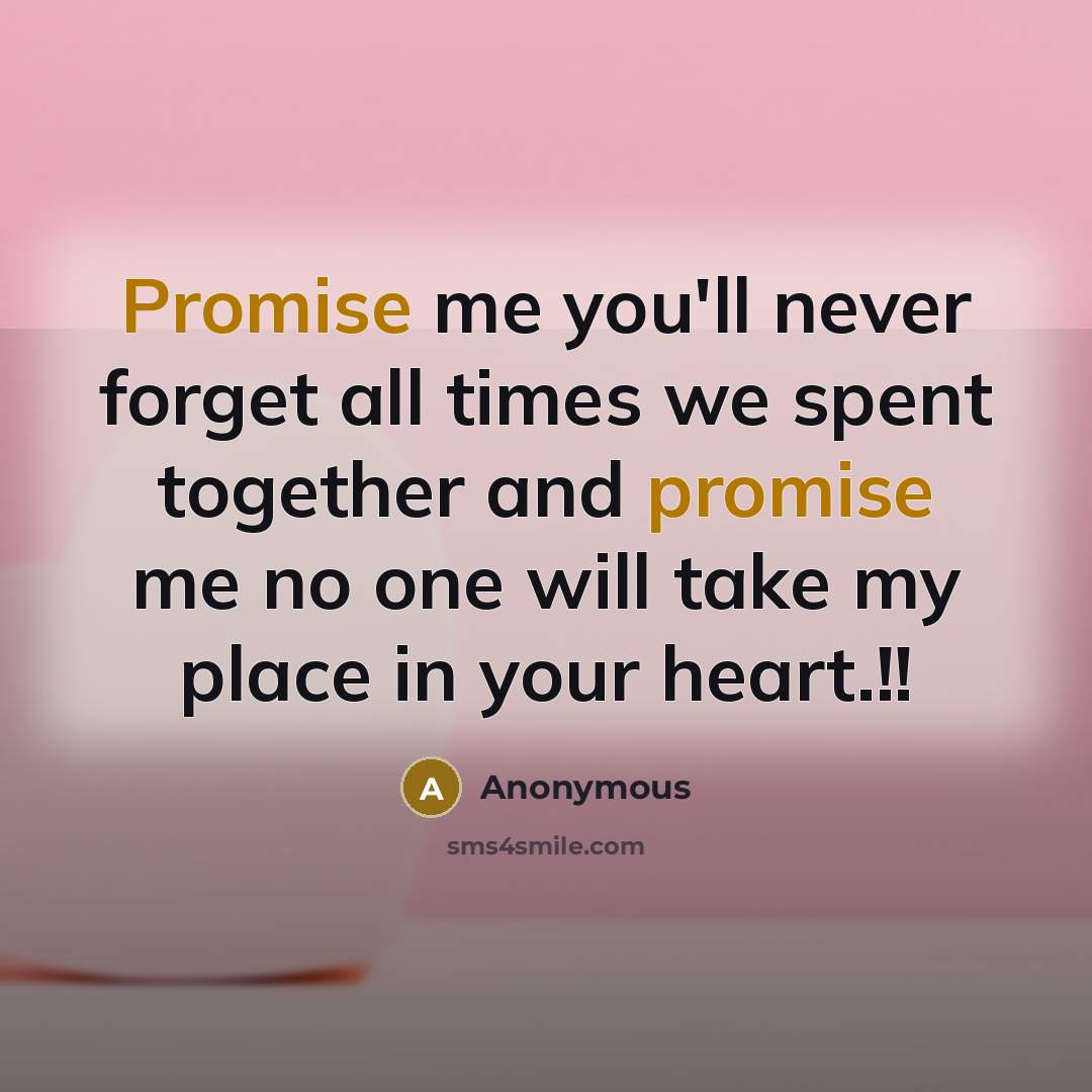 “Promise me you'll never forget all times we spent together…” quote by Anonymous