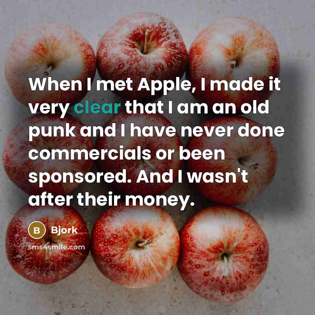 “When I met Apple, I made it very clear that I am an old punk and I have never done commercials or been sponsored. And I wasn't after their money.” quote by Bjork