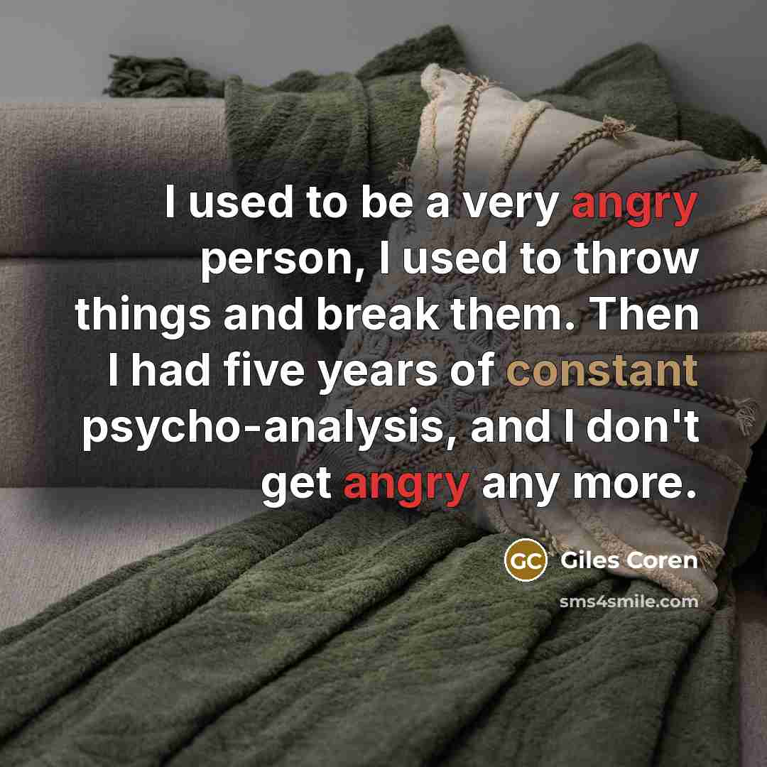 “I used to be a very angry person, I used…” quote by Giles Coren