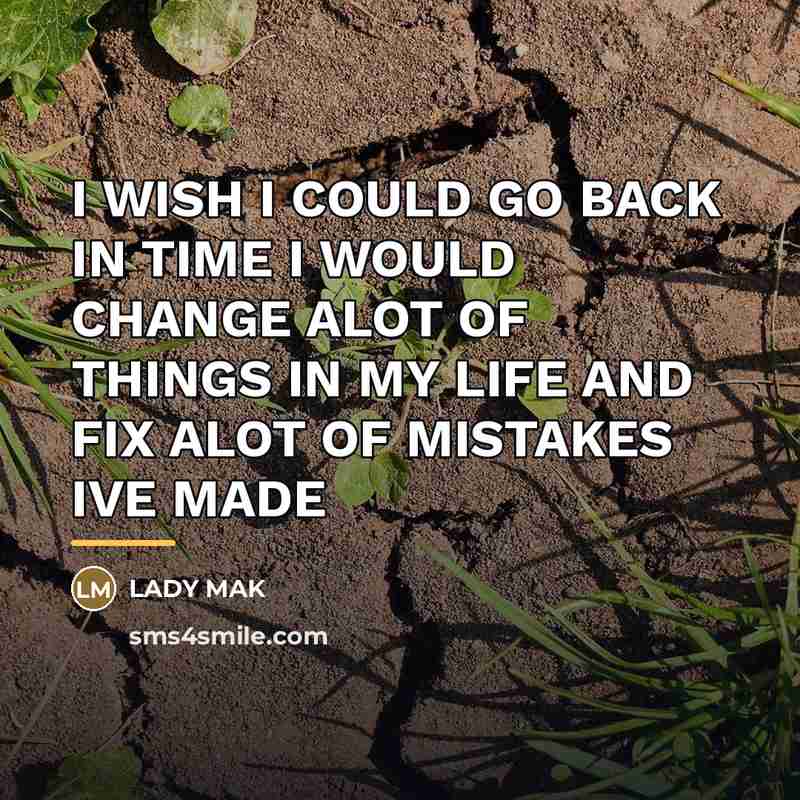 “I WISH I COULD GO BACK IN TIME I WOULD…” quote by Lady Mak