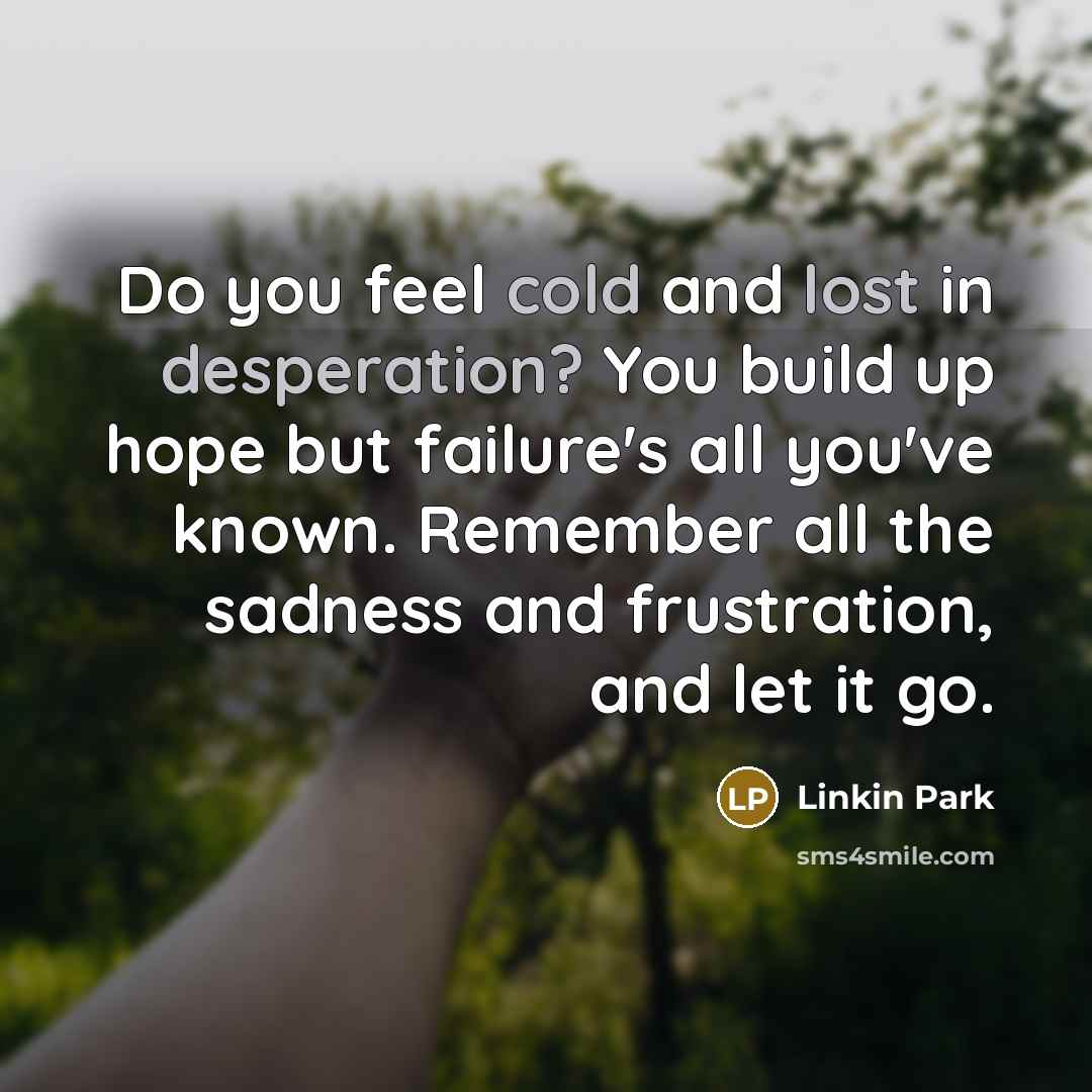 “Do you feel cold and lost in desperation? You build up hope but failure's all you've known. Remember all the sadness and frustration, and let it go.” quote by Linkin Park
