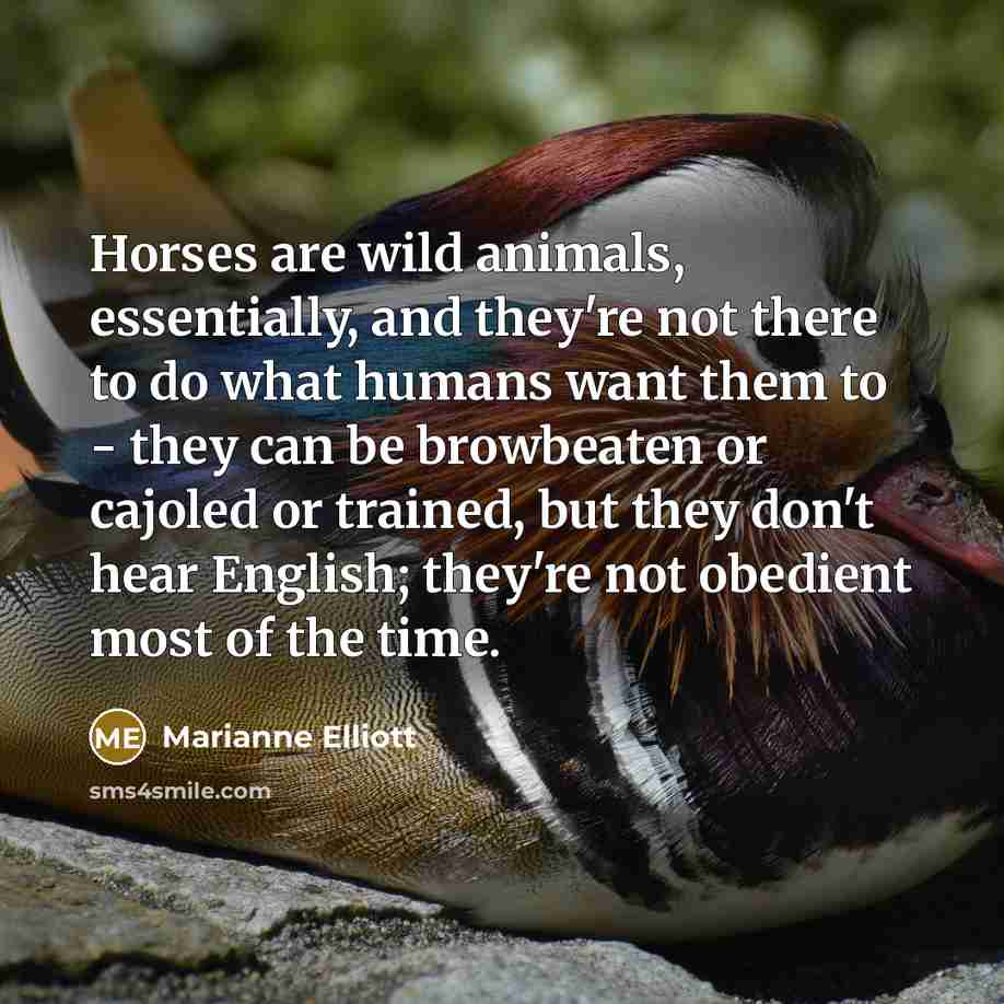 “Horses are wild animals, essentially, and they're not there to…” quote by Marianne Elliott