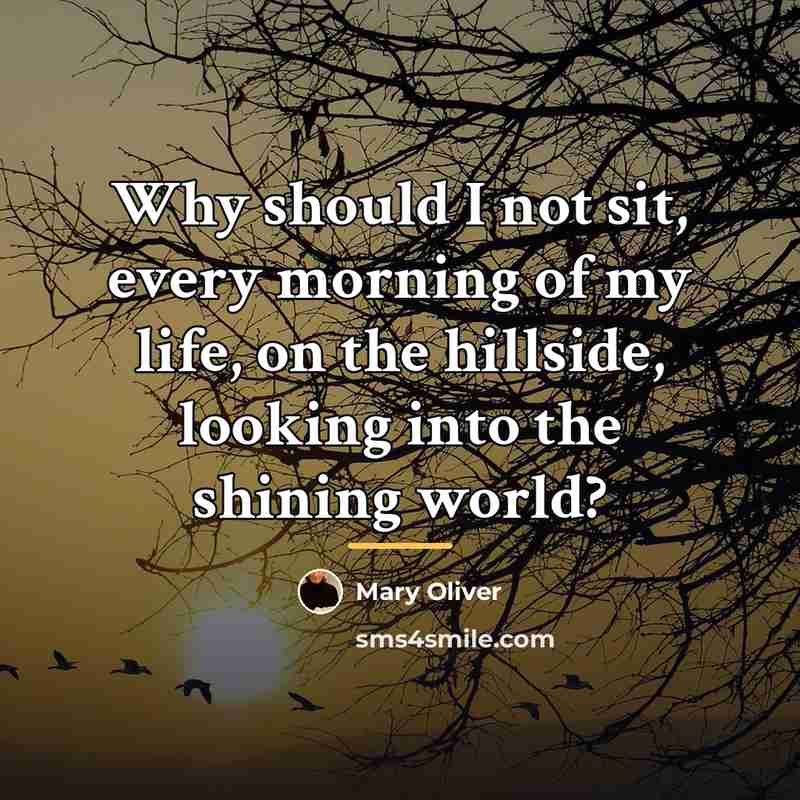 “Why should I not sit, every morning of my life,…” quote by Mary Oliver