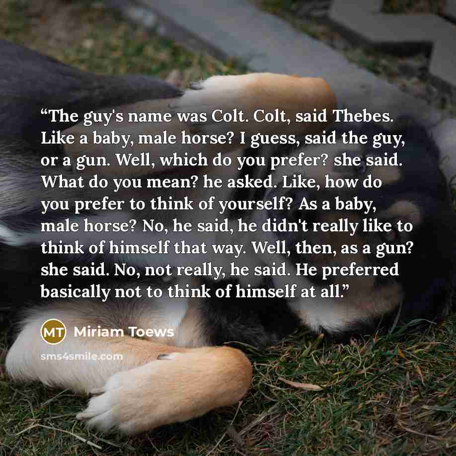“The guy's name was Colt. Colt, said Thebes. Like a baby, male horse? I guess, said the guy, or a gun. Well, which do you prefer? she said. What do you mean? he asked. Like, how do you prefer to think of yourself? As a baby, male horse? No, he said, he didn't really like to think of himself that…” quote by Miriam Toews