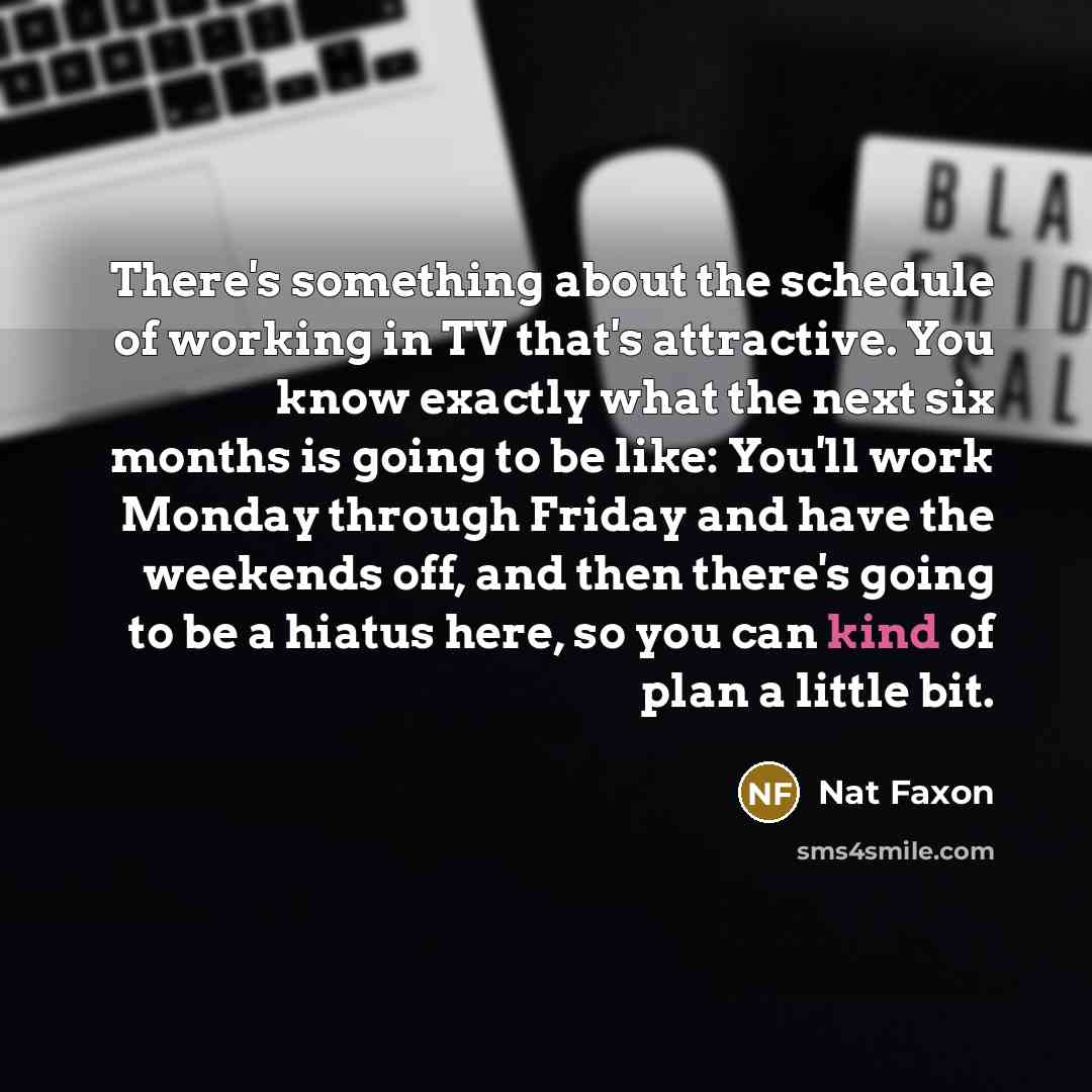 “There's something about the schedule of working in TV that's…” quote by Nat Faxon