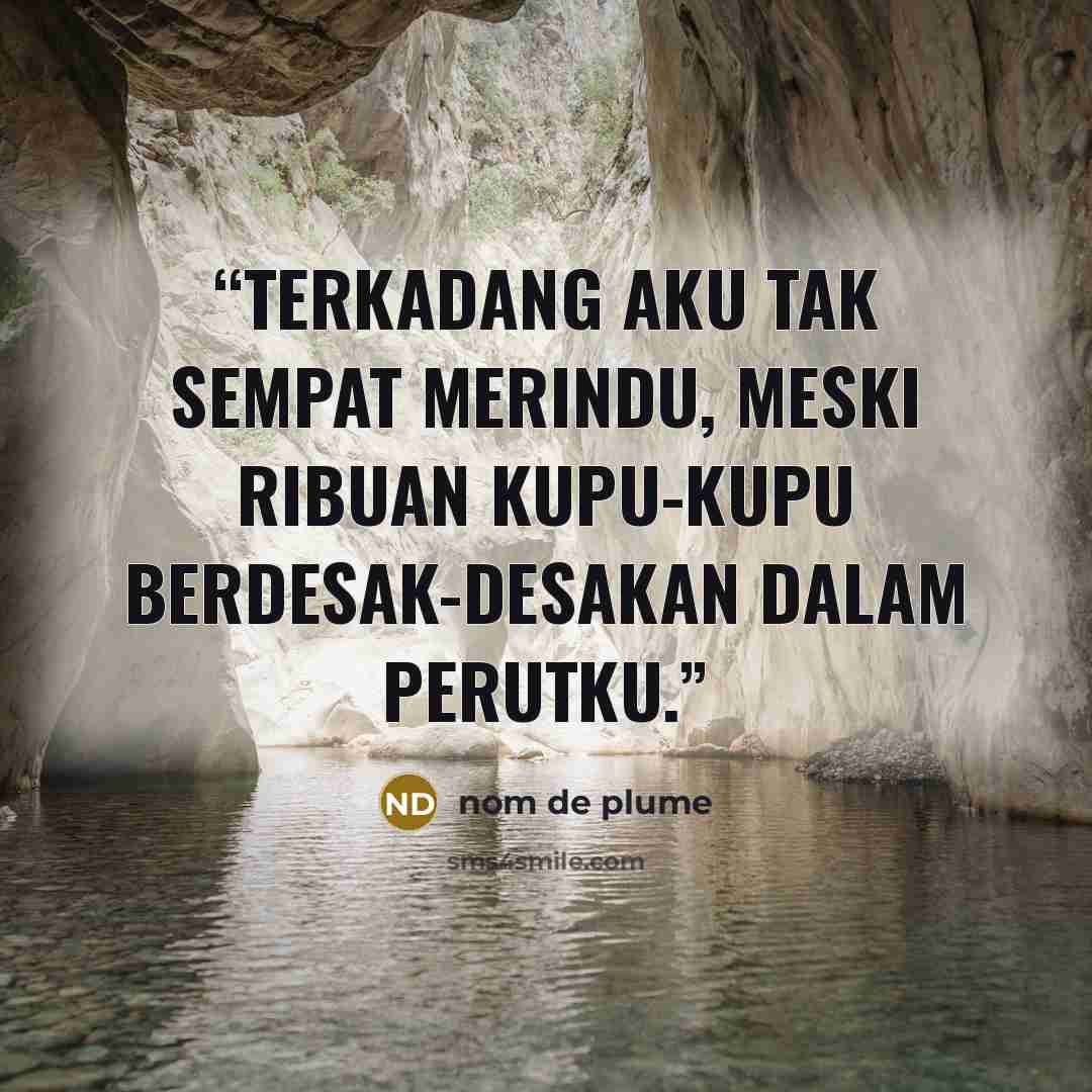 “Terkadang aku tak sempat merindu, meski ribuan kupu-kupu berdesak-desakan dalam perutku.” quote by nom de plume