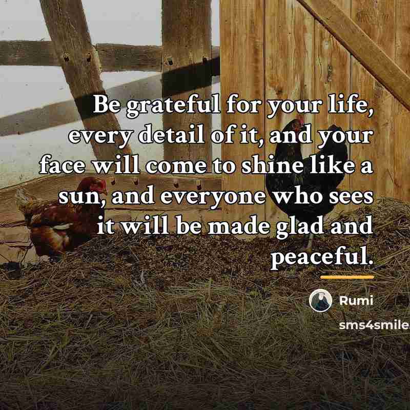 “Be grateful for your life, every detail of it, and…” quote by Rumi