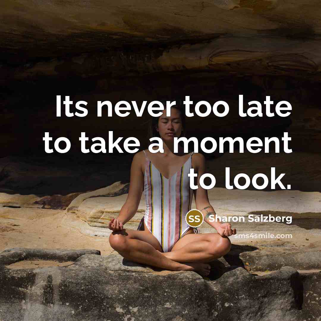 “Its never too late to take a moment to look.…” quote by Sharon Salzberg