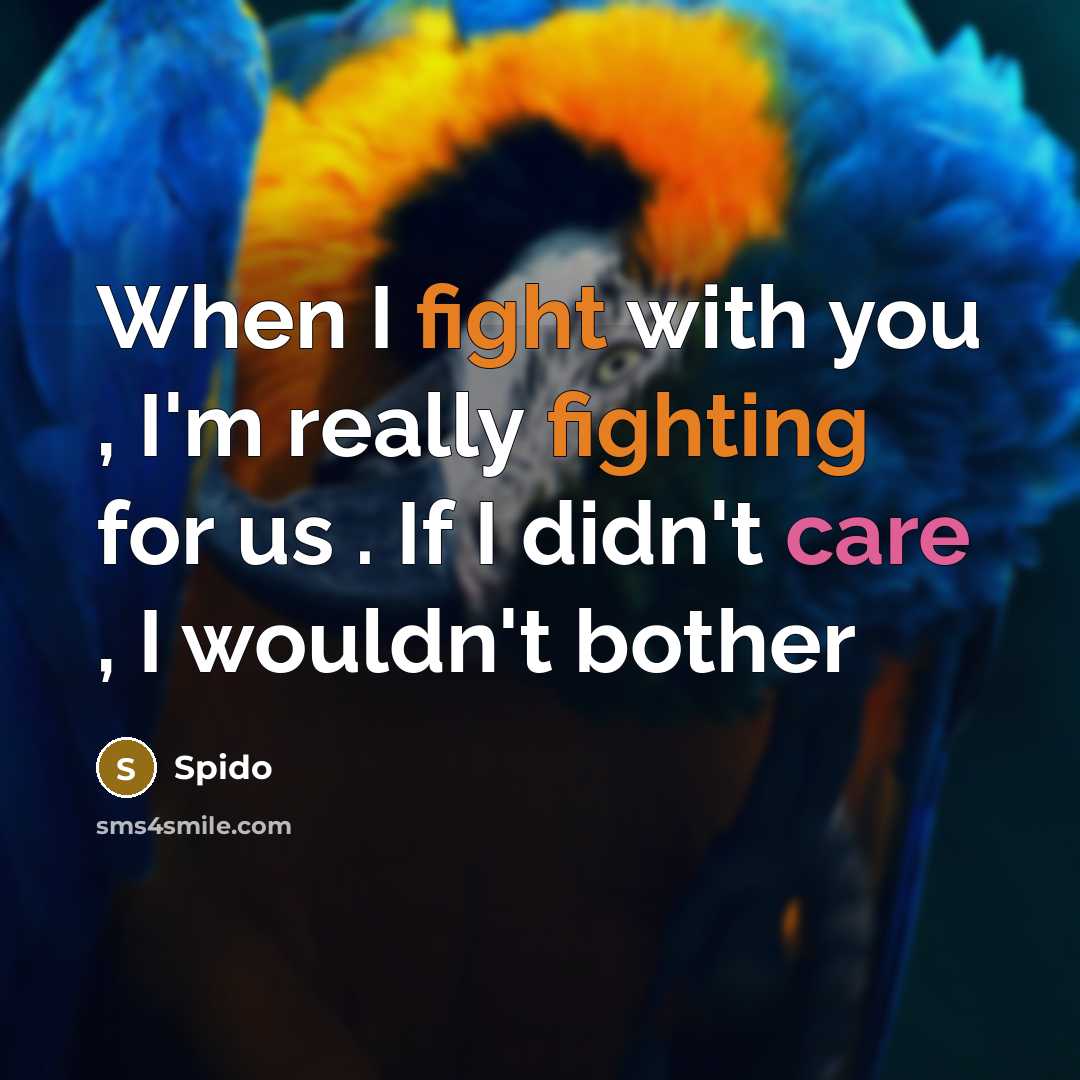 “When I fight with you , I'm really fighting for us . If I didn't care , I wouldn't bother” quote by Spido