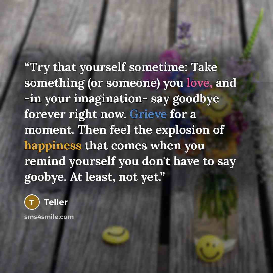 “Try that yourself sometime: Take something (or someone) you love, and -in your imagination- say goodbye forever right now. Grieve for a moment. Then feel the explosion of happiness that comes when you remind yourself you don't have to say goobye. At least, not yet.” quote by Teller