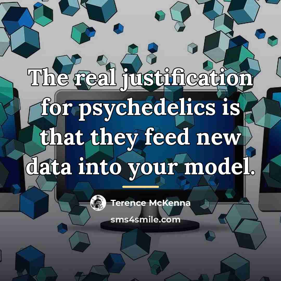 “The real justification for psychedelics is that they feed new…” quote by Terence McKenna