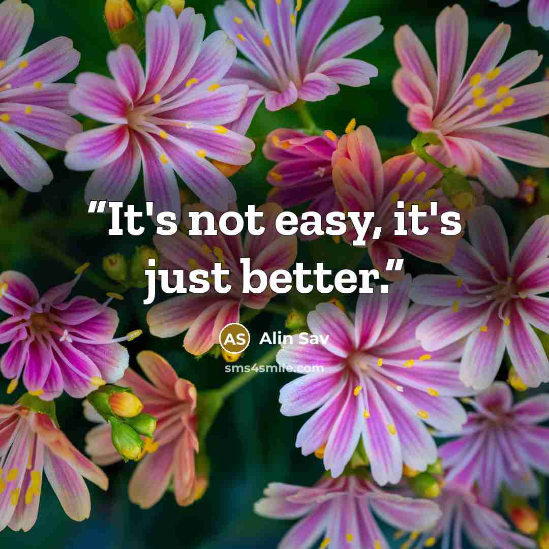 “It's not easy, it's just better.” quote by Alin Sav