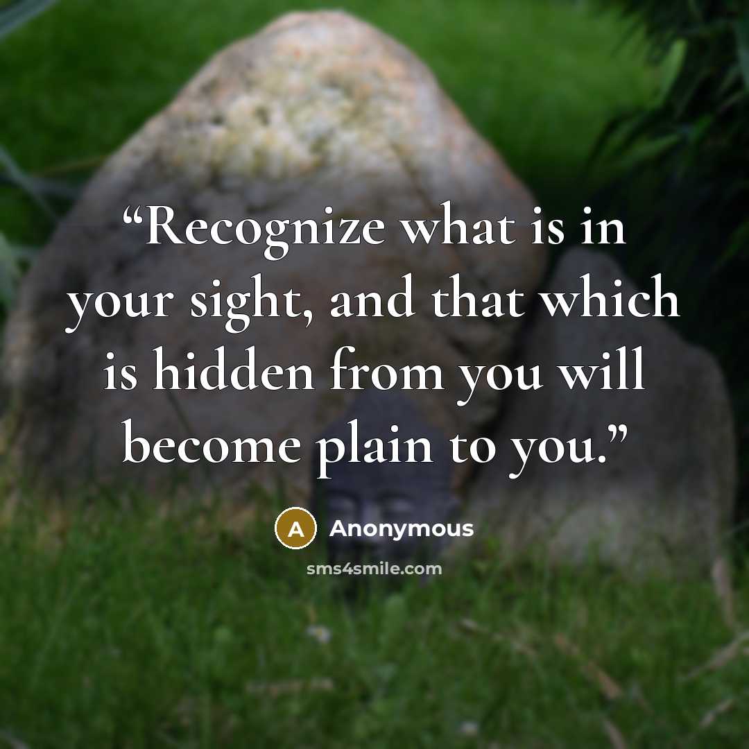 “Recognize what is in your sight, and that which is hidden from you will become plain to you.” quote by Anonymous