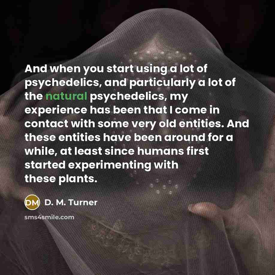“And when you start using a lot of psychedelics, and…” quote by D. M. Turner