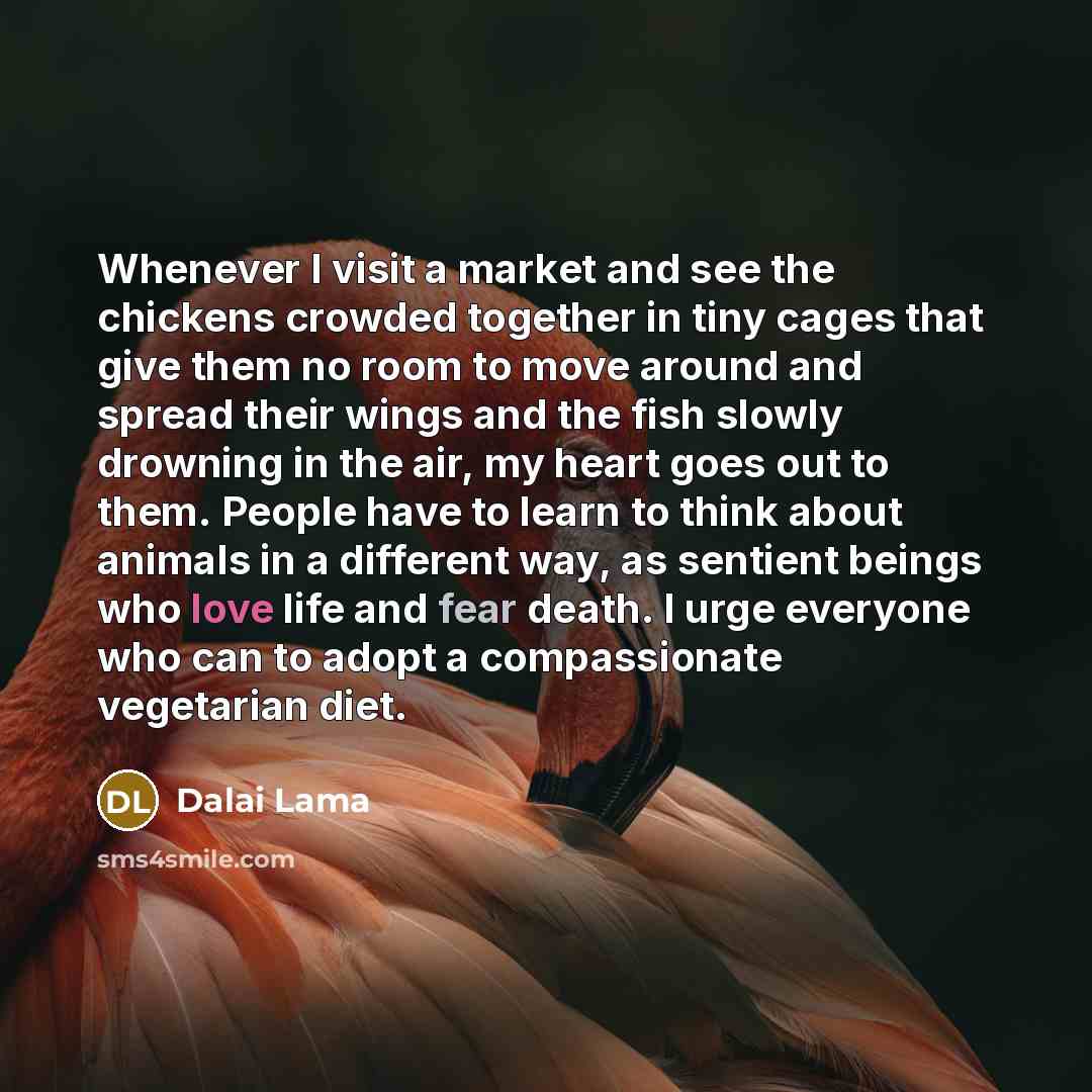 “Whenever I visit a market and see the chickens crowded…” quote by Dalai Lama