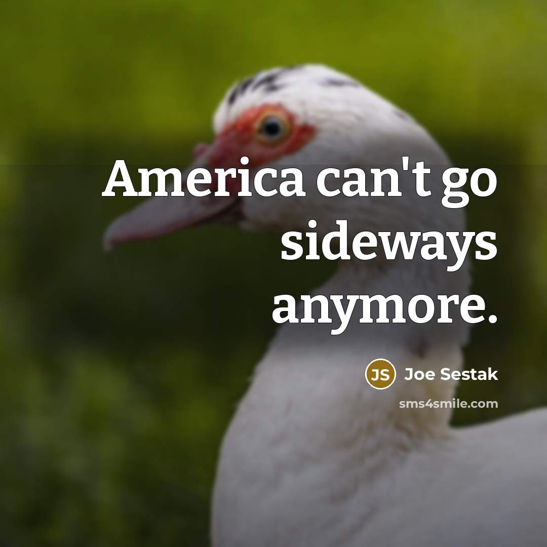 “America can't go sideways anymore.…” quote by Joe Sestak