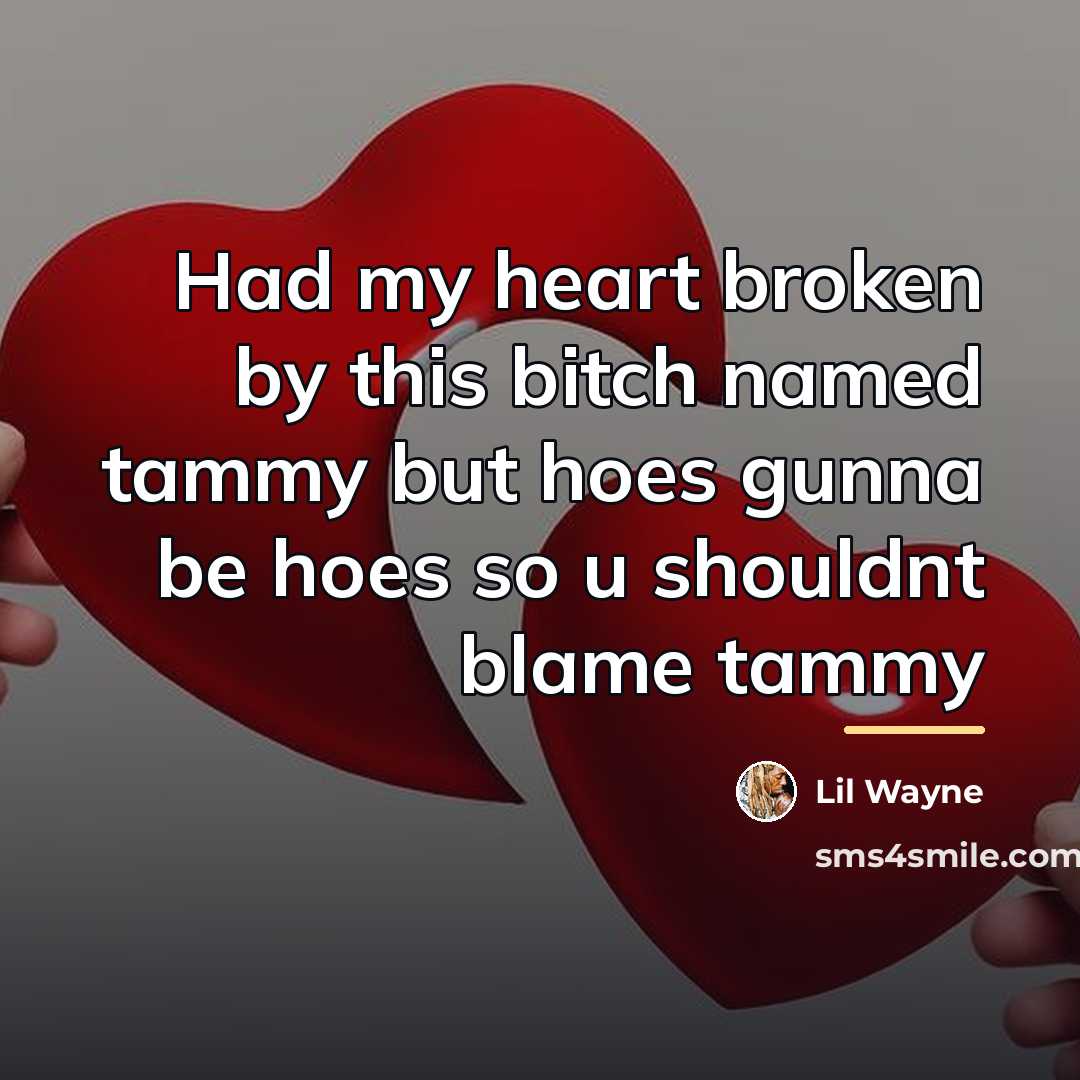 “Had my heart broken by this bitch named tammy but…” quote by Lil Wayne
