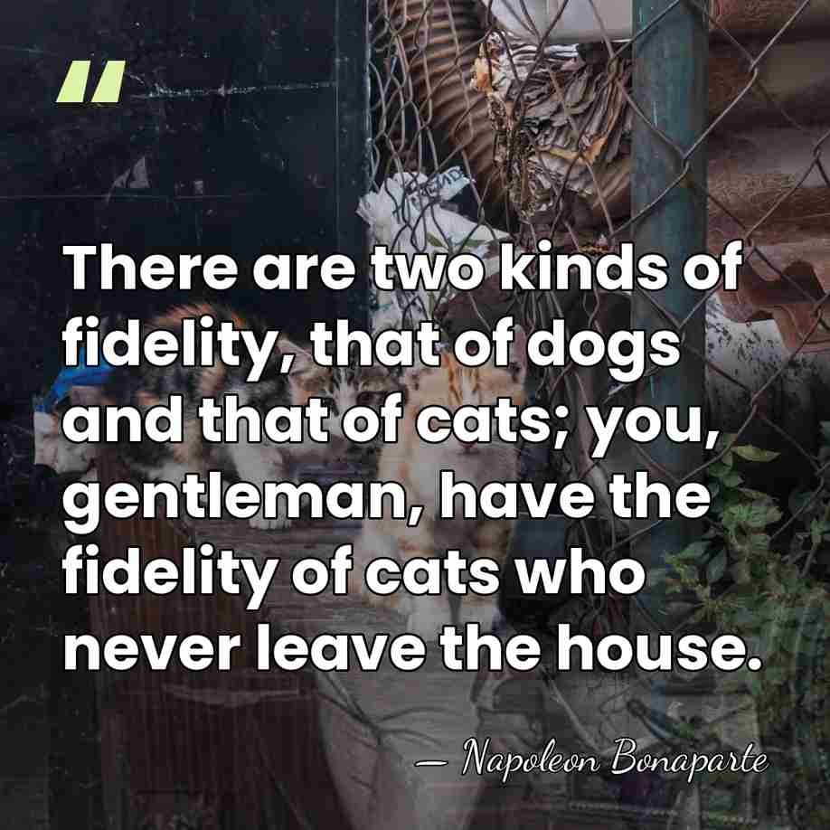 There are two kinds of fidelity, that of dogs and that of&hellip; - Napoleon Bonaparte