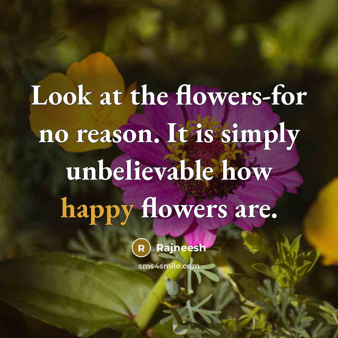 “Look at the flowers-for no reason. It is simply unbelievable…” quote by Rajneesh
