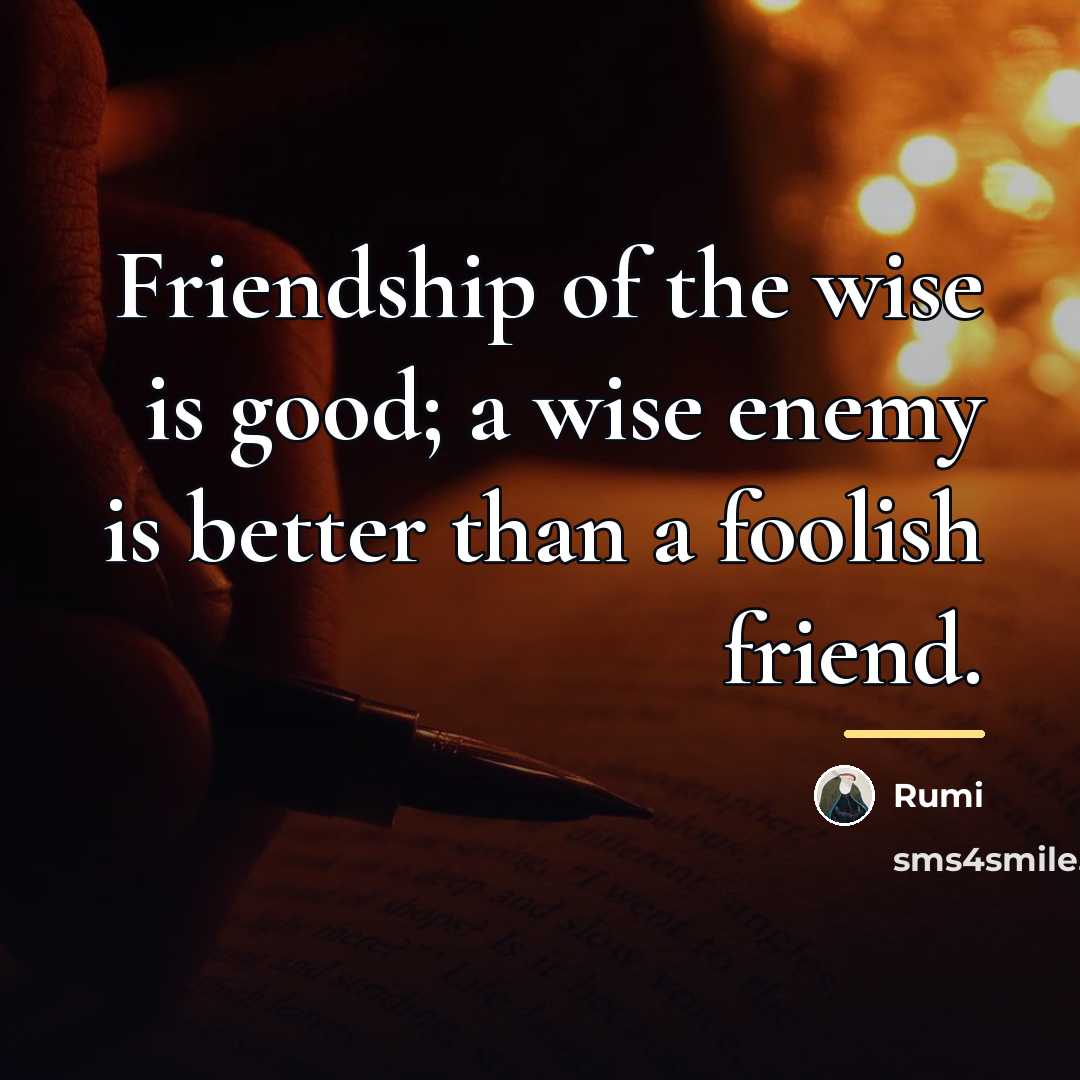 “Friendship of the wise is good; a wise enemy is…” quote by Rumi