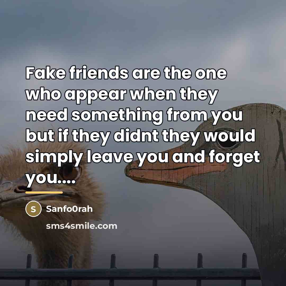 “Fake friends are the one who appear when they need…” quote by Sanfo0rah