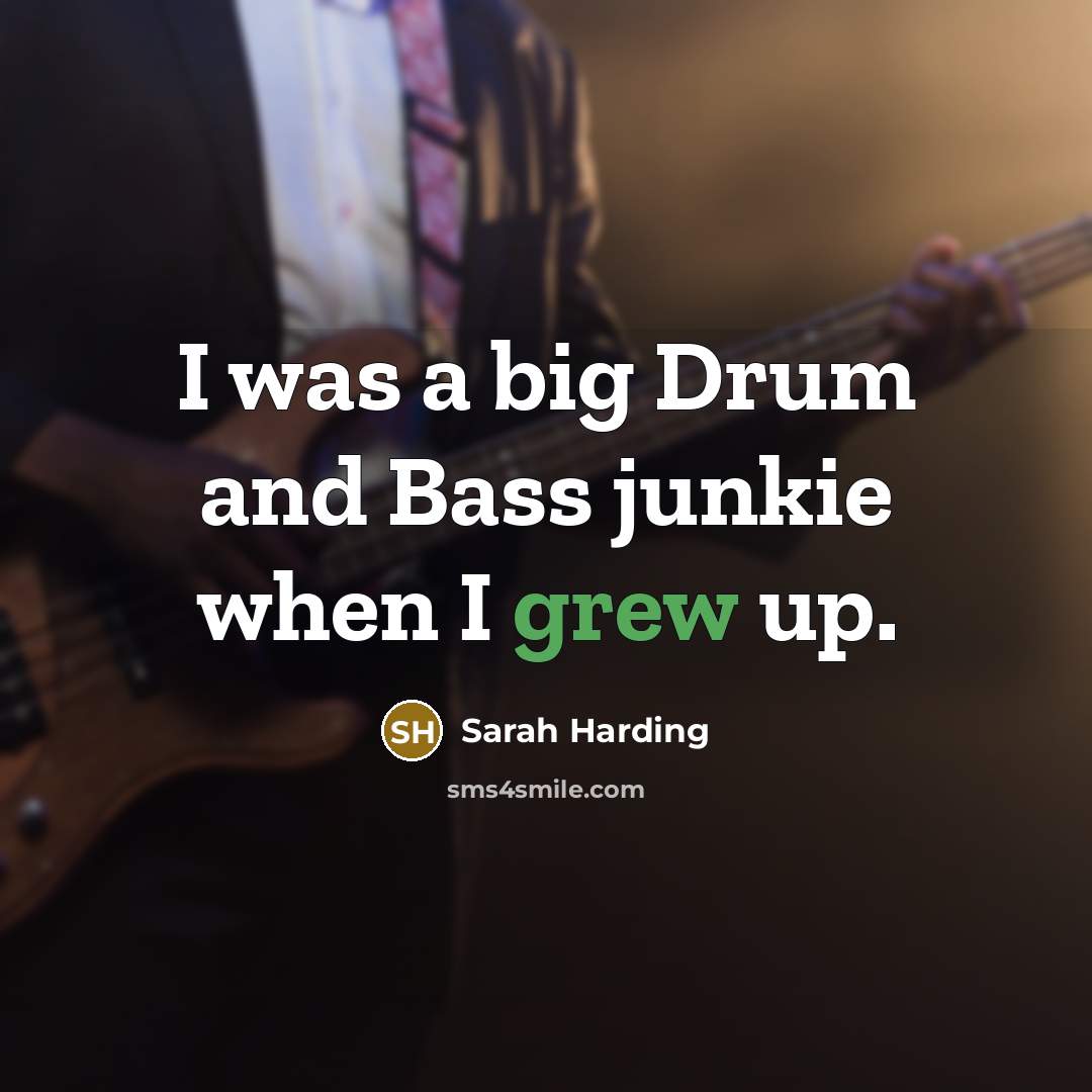 “I was a big Drum and Bass junkie when I…” quote by Sarah Harding