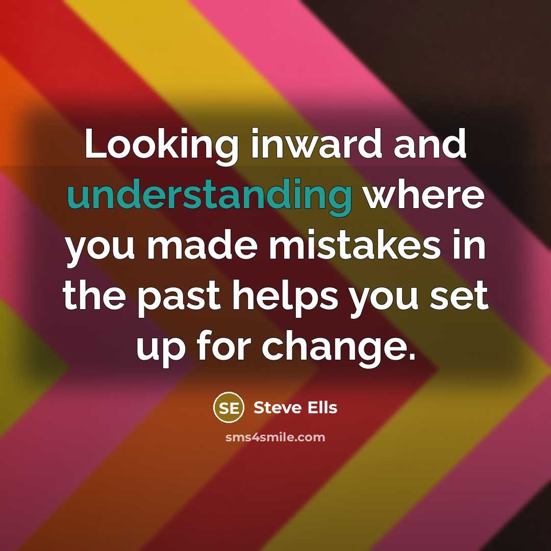 “Looking inward and understanding where you made mistakes in the…” quote by Steve Ells