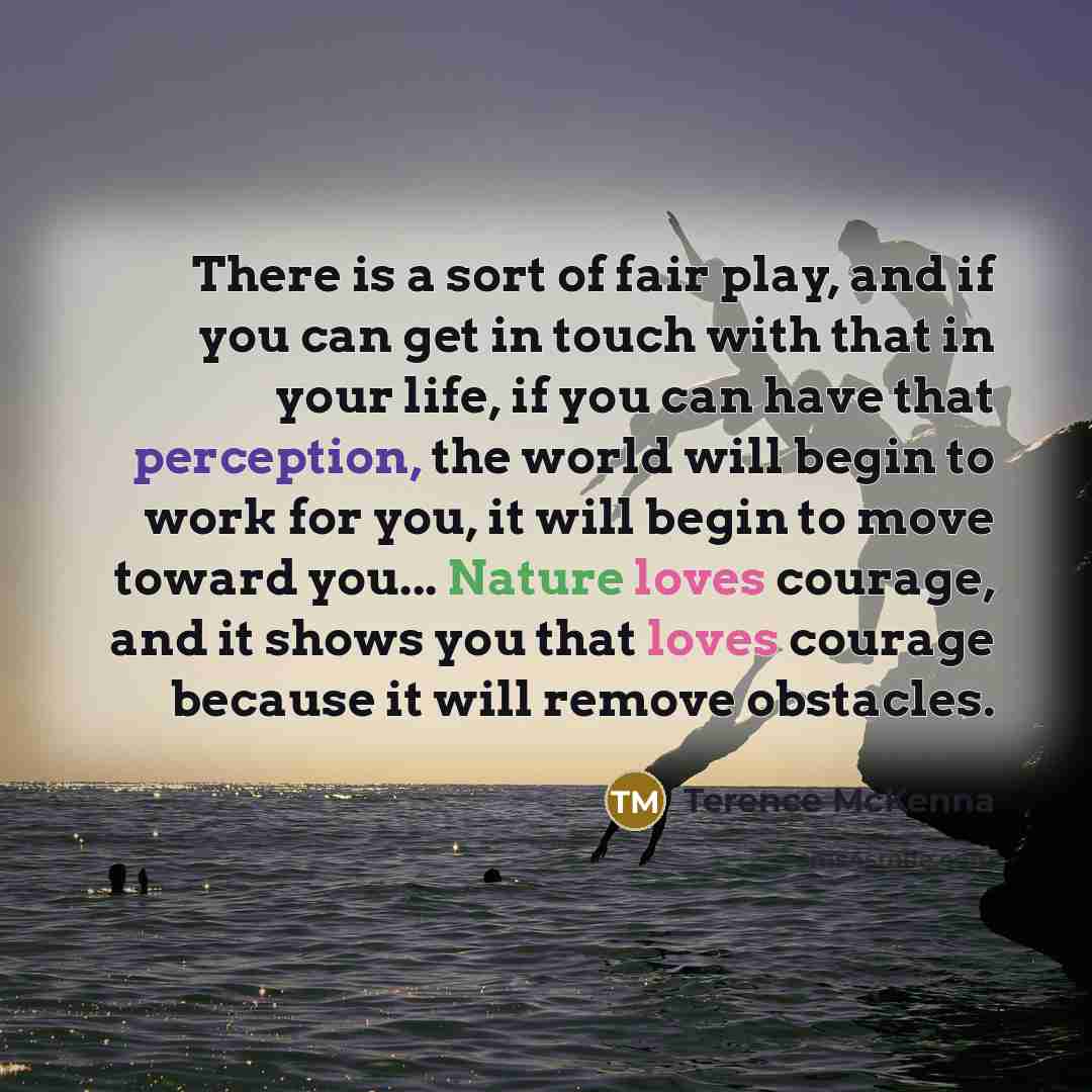 “There is a sort of fair play, and if you…” quote by Terence McKenna