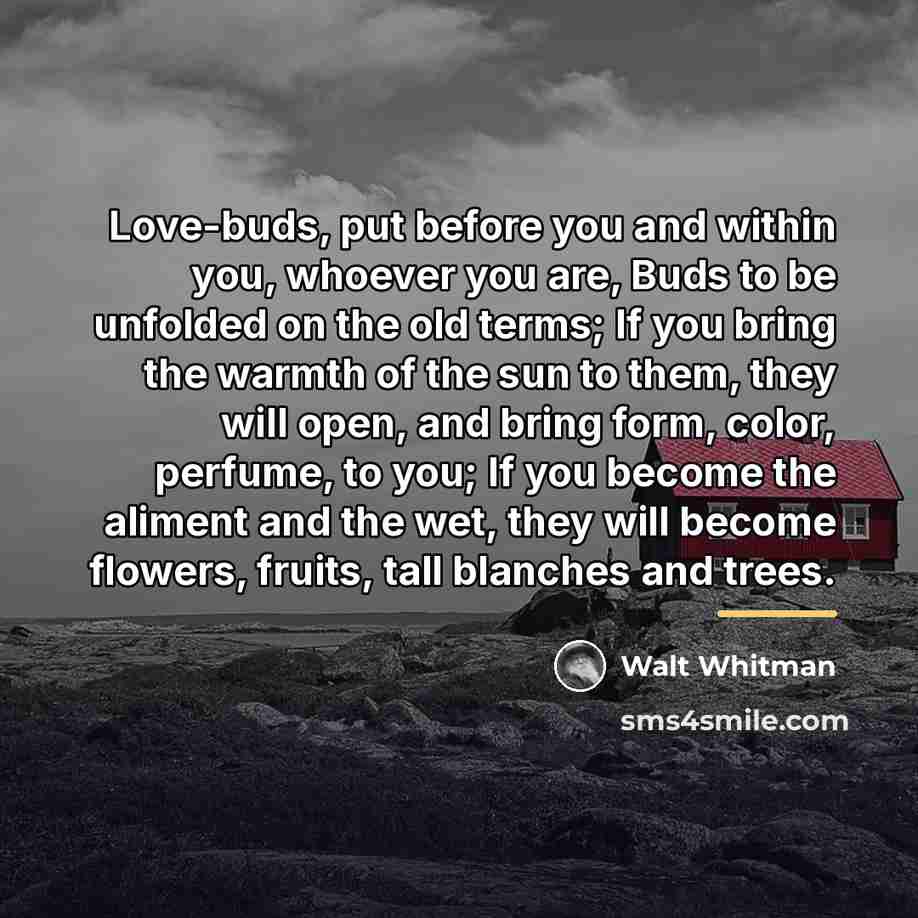 “Love-buds, put before you and within you, whoever you are,…” quote by Walt Whitman
