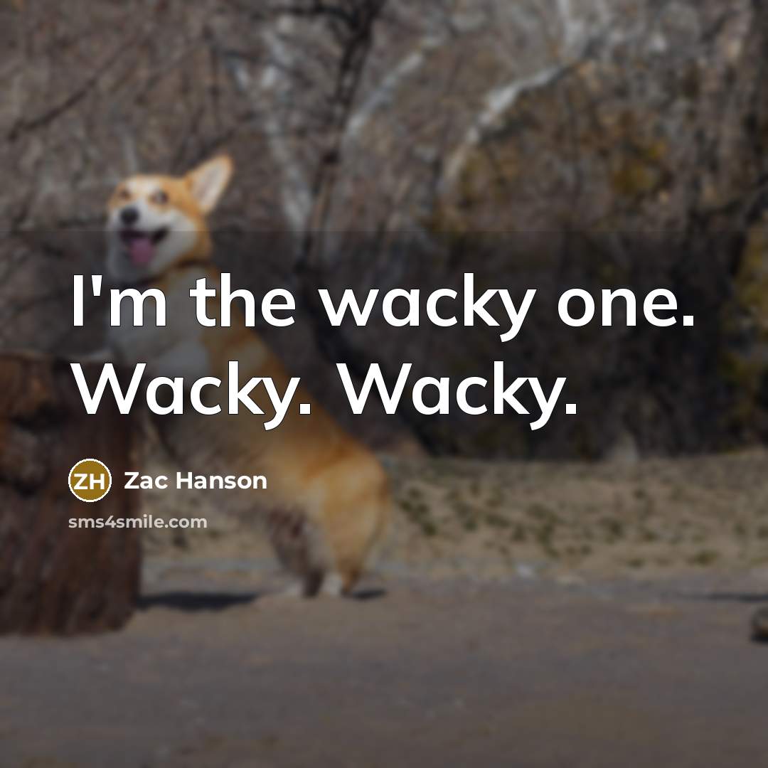 “I'm the wacky one. Wacky. Wacky.…” quote by Zac Hanson