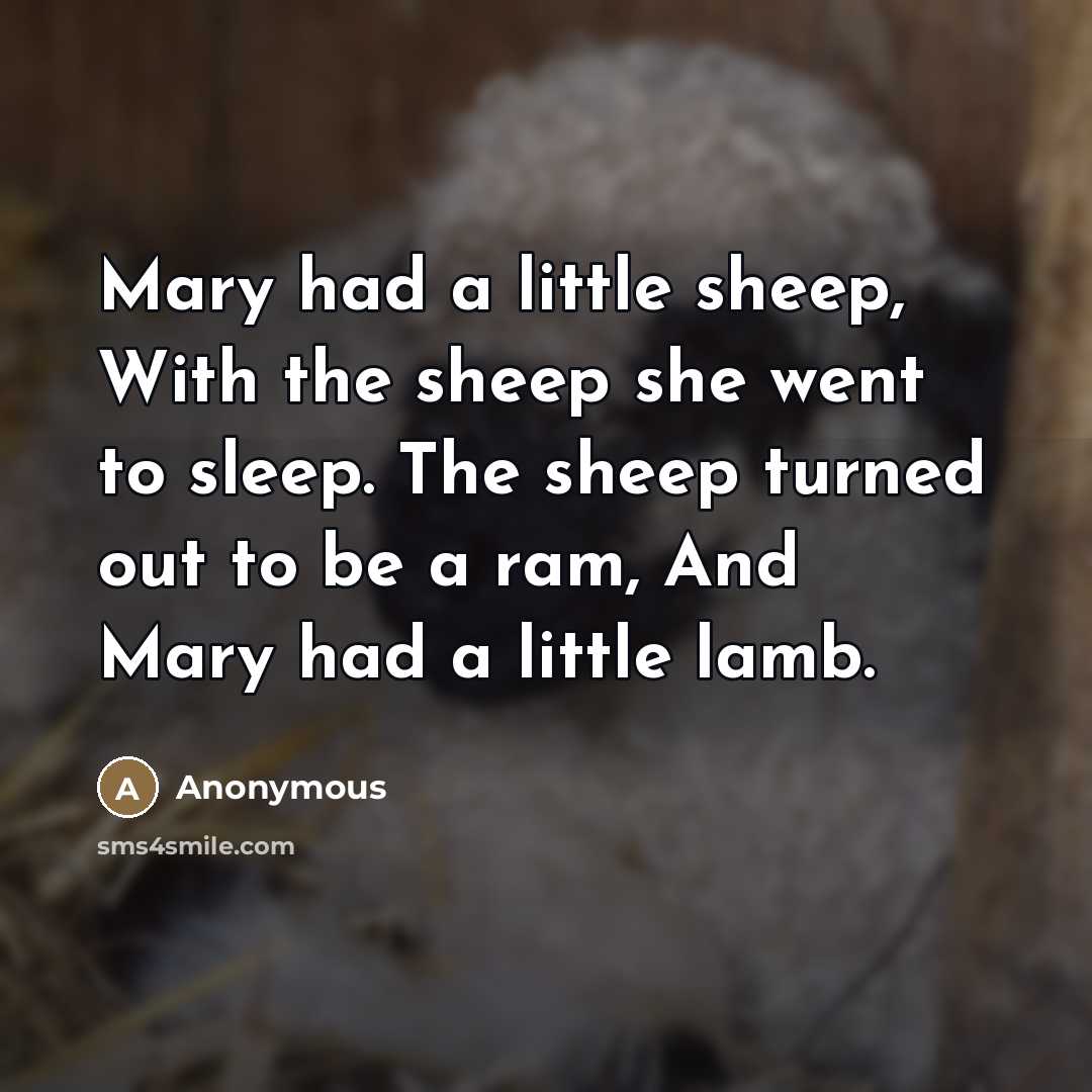 “Mary had a little sheep, With the sheep she went…” quote by Anonymous