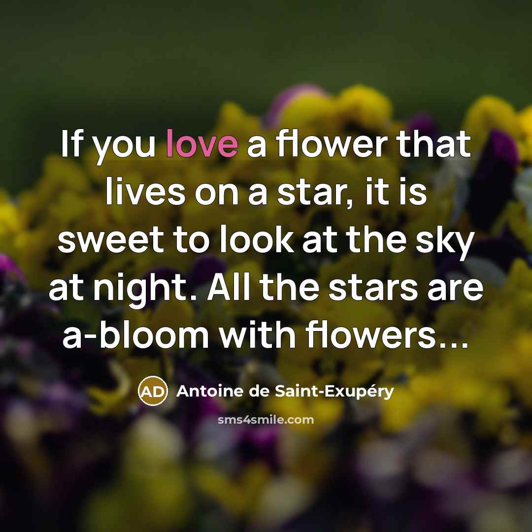 “If you love a flower that lives on a star,…” quote by Antoine de Saint-Exupery