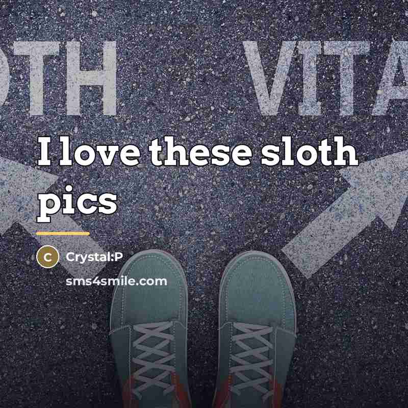 “I love these sloth pics…” quote by Crystal:P