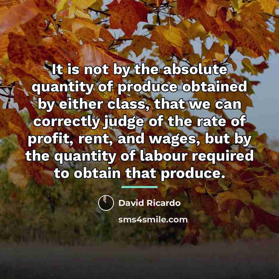 “It is not by the absolute quantity of produce obtained…” quote by David Ricardo
