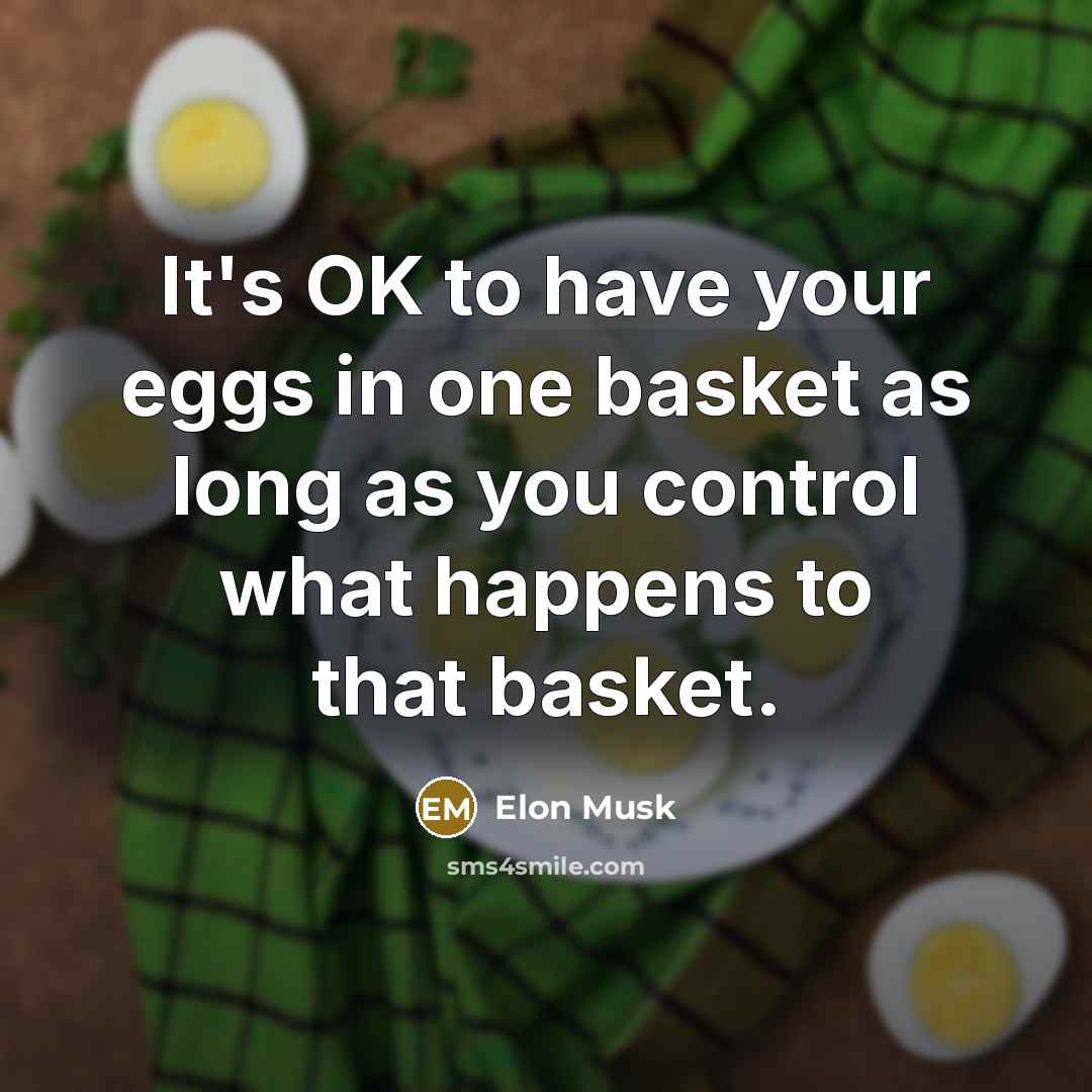 “It's OK to have your eggs in one basket as…” quote by Elon Musk