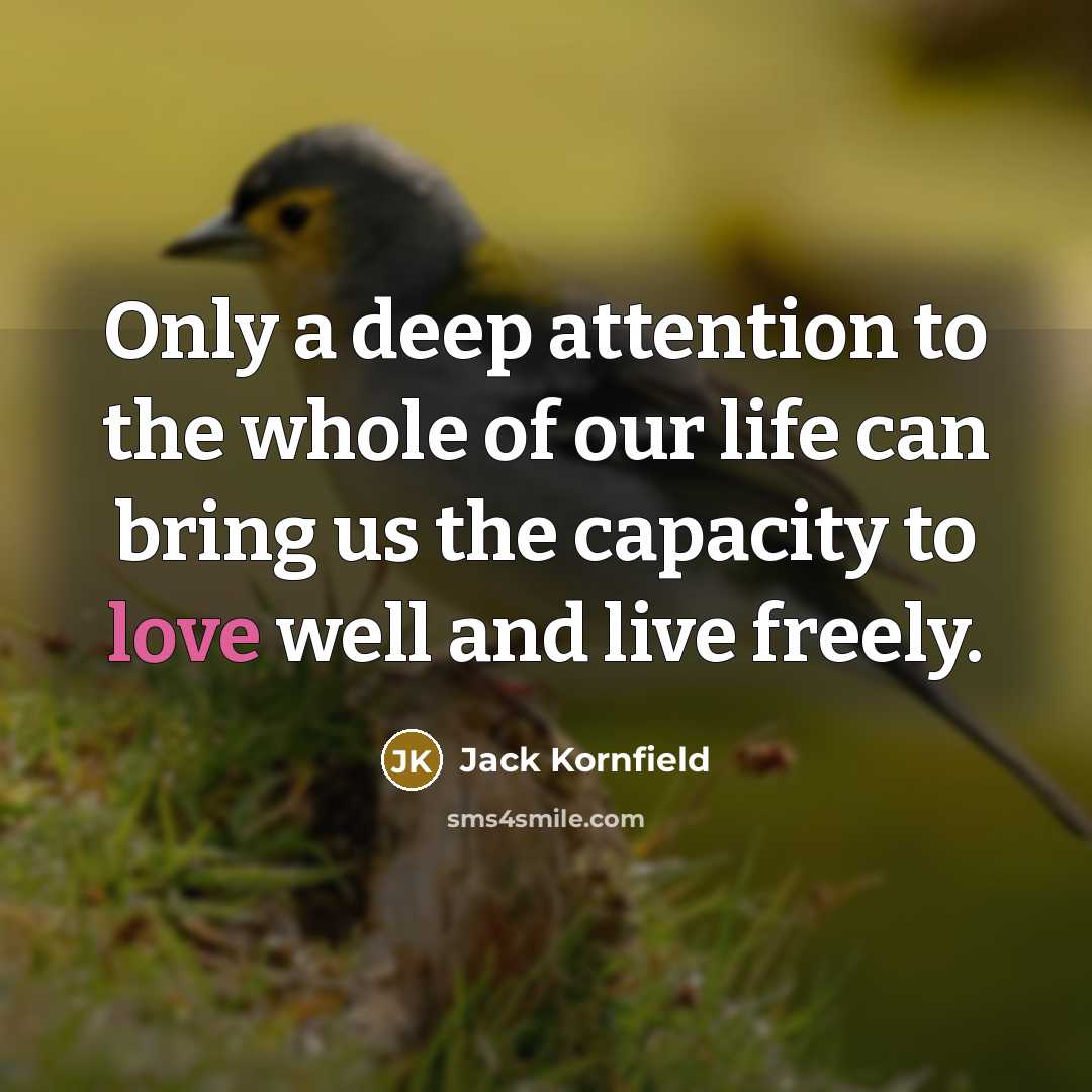 “Only a deep attention to the whole of our life…” quote by Jack Kornfield