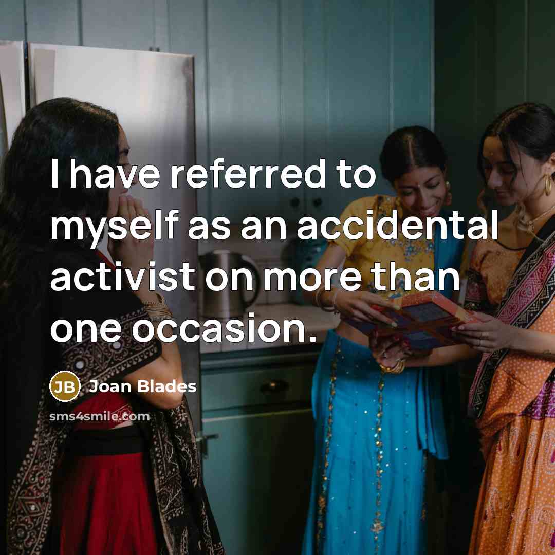 “I have referred to myself as an accidental activist on more than one occasion.” quote by Joan Blades