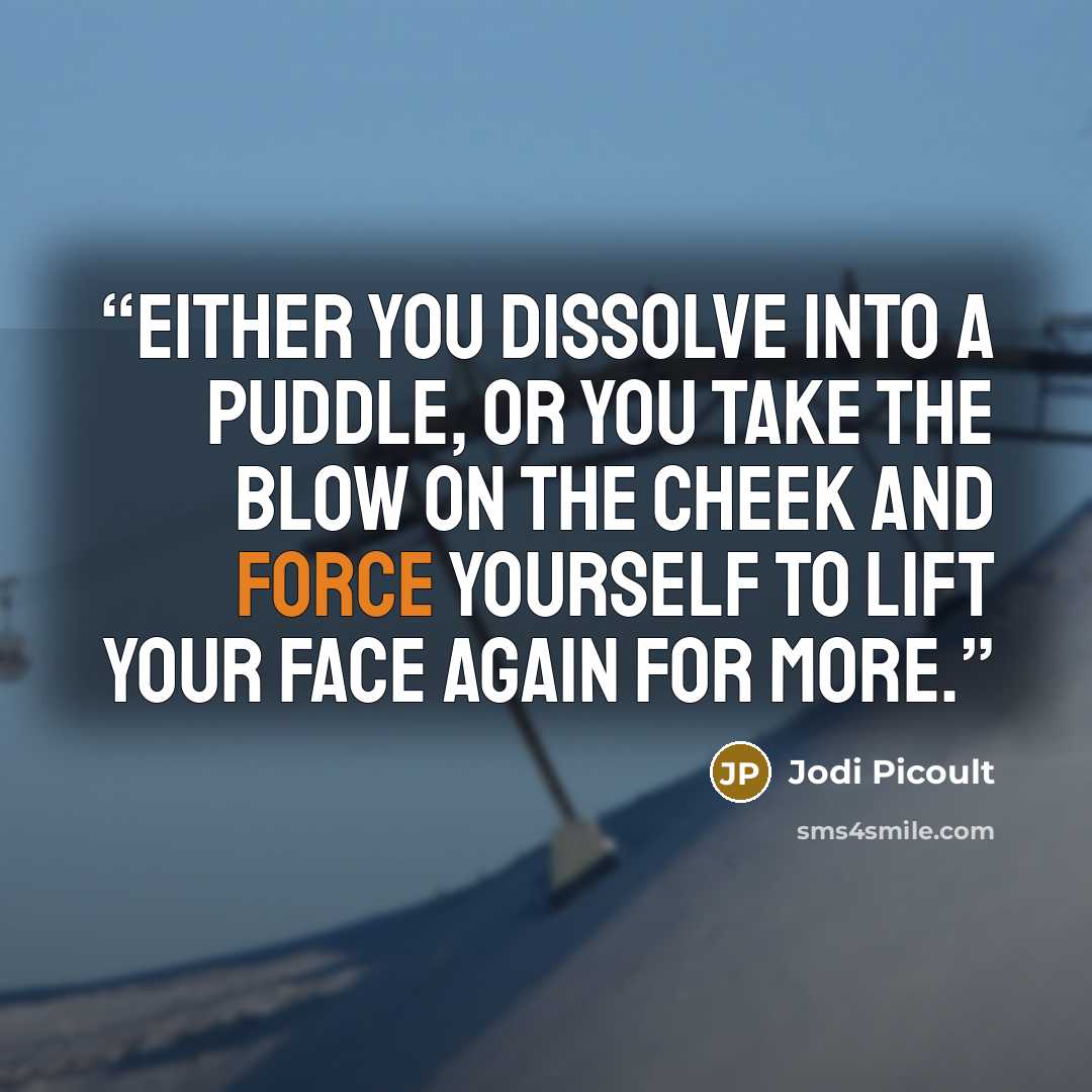 “Either you dissolve into a puddle, or you take the blow on the cheek and force yourself to lift your face again for more.” quote by Jodi Picoult