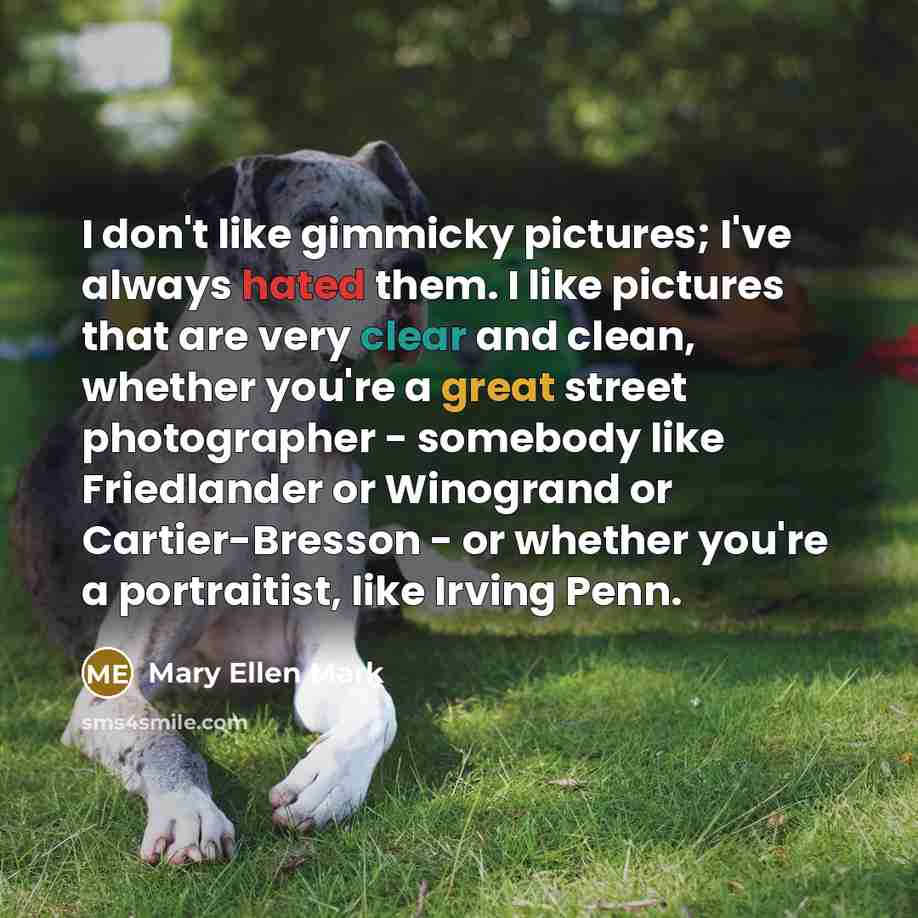 “I don't like gimmicky pictures; I've always hated them. I…” quote by Mary Ellen Mark