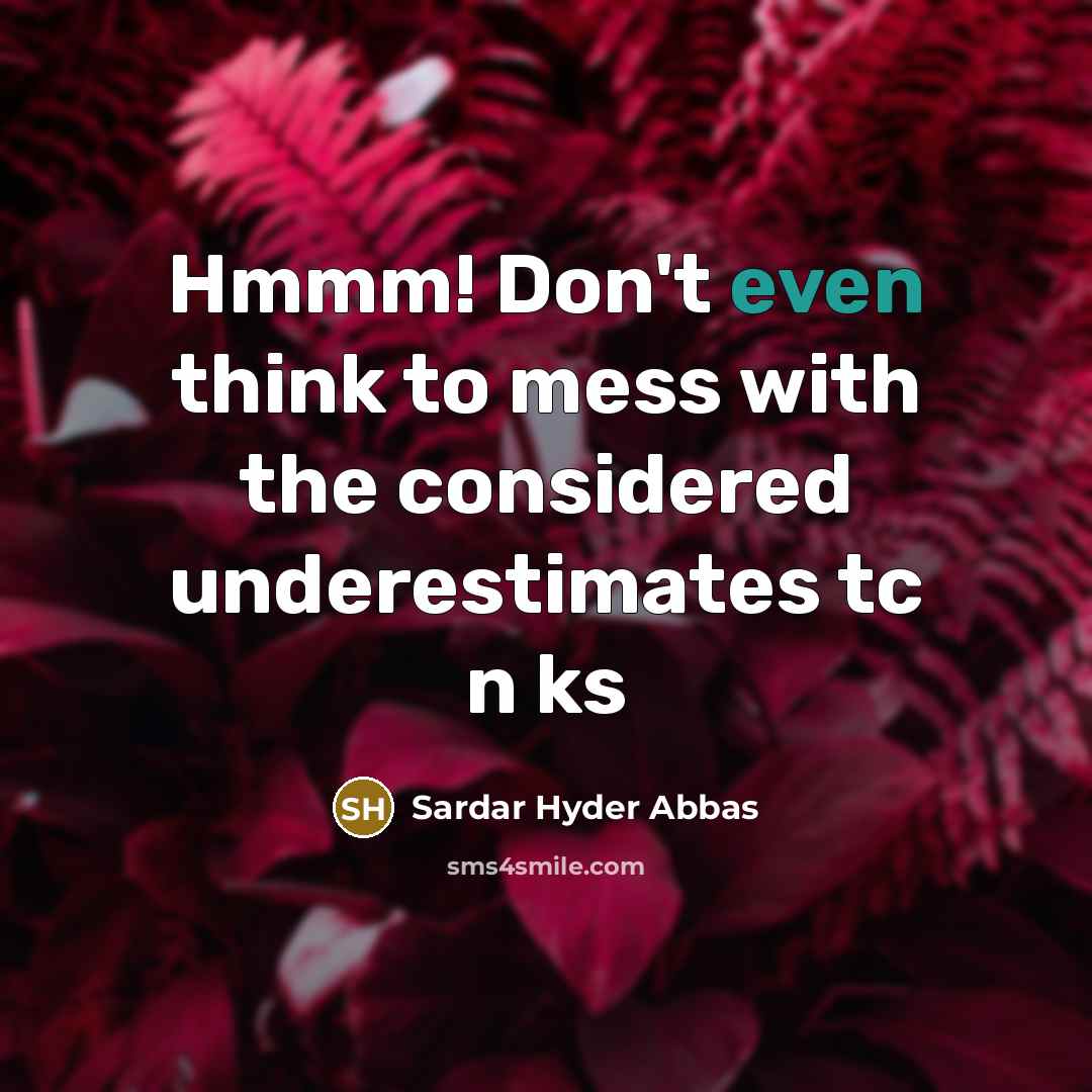 “Hmmm! Don't even think to mess with the considered underestimates…” quote by Sardar Hyder Abbas