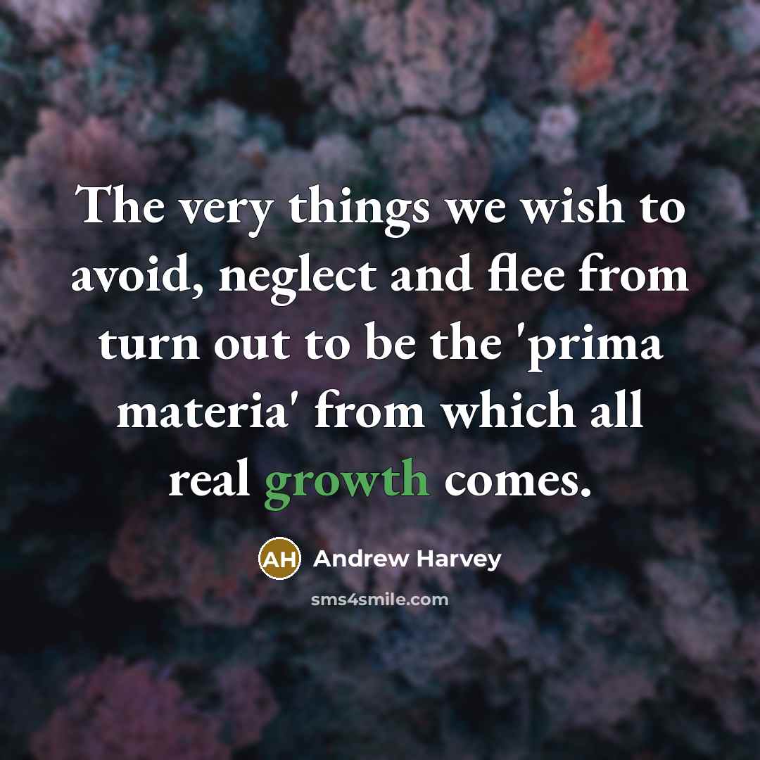 “The very things we wish to avoid, neglect and flee…” quote by Andrew Harvey