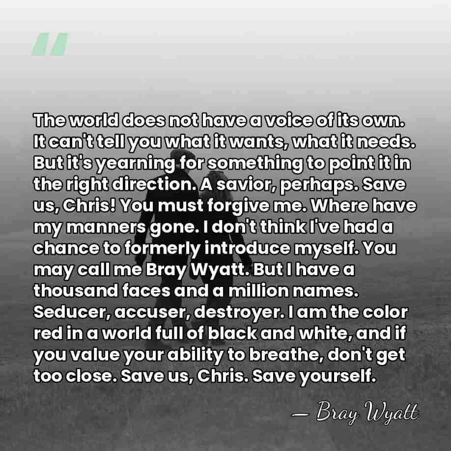 The world does not have a voice of its own. It can't&hellip; - Bray Wyatt