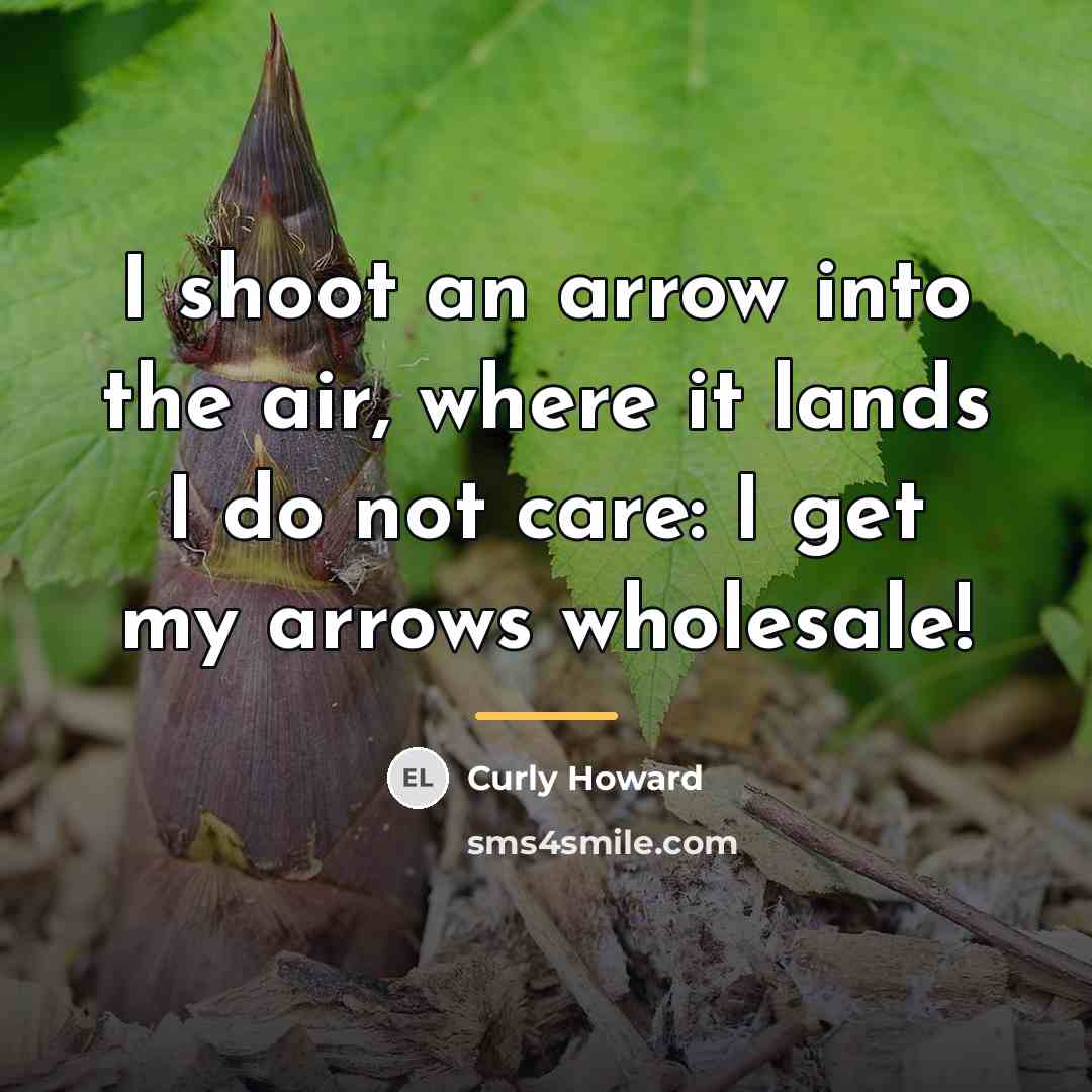 “I shoot an arrow into the air, where it lands…” quote by Curly Howard