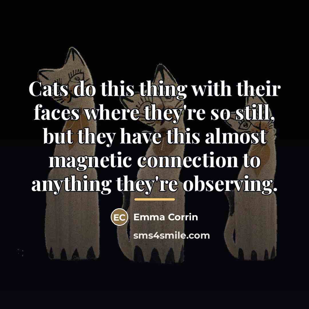 “Cats do this thing with their faces where they're so…” quote by Emma Corrin
