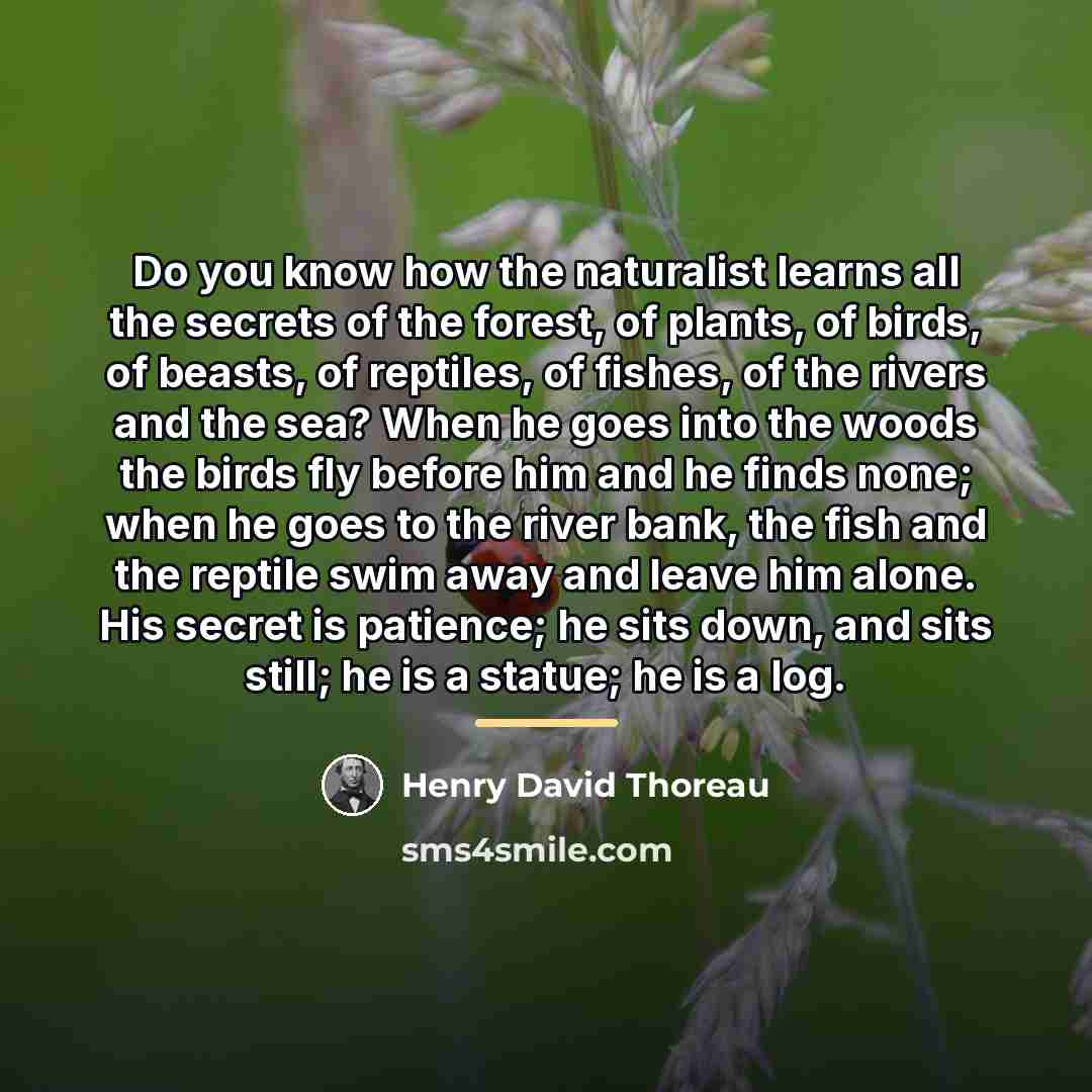 “Do you know how the naturalist learns all the secrets…” quote by Henry David Thoreau